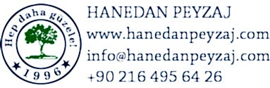 hanedan_logo