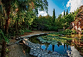 Atatürk Arboretum