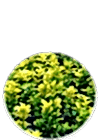 blok3